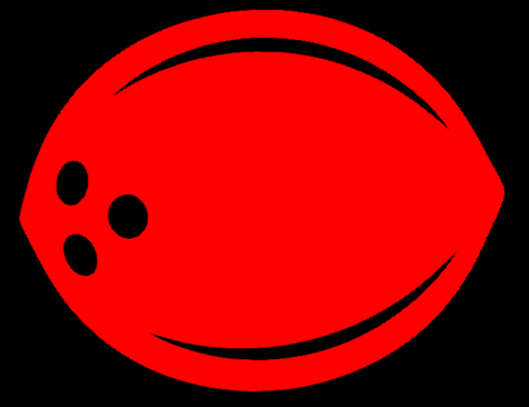 Maldives Resort Insider Logo
